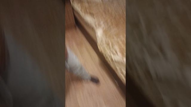 2324.mp4 смотреть онлайн