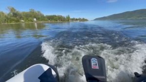 Haswing Ventura T5 (24 В) на ходу