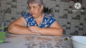 МОИ ПРЕПАРАТЫ ОТ ФИТОФТОРЫ #И ПОБОЛТАТЬ.