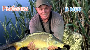«Рыбалка на карпа: клёв или провал? Смотрите до конца!» ❓🎥 « Карповая рыбалка 24 часа» ⏳🌙