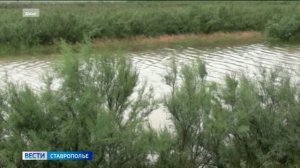 На Ставрополье следят за уровнем воды в реках Калаус и Горькая