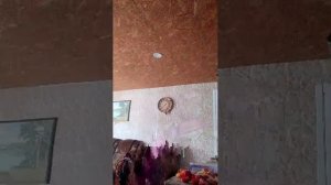 готовим фрукты в стекле