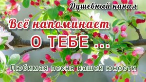 ВСЁ НАПОМИНАЕТ О ТЕБЕ. ЛЮБИМАЯ ПЕСНЯ НАШЕЙ ЮНОСТИ