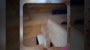 1000059954.mp4 (Собака наблюдает за устройством лестницы на 2-ой этаж в доме А-фрейм)