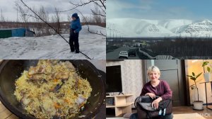 Норильск/ Купила переноску для кошки/ Поездка на дачу