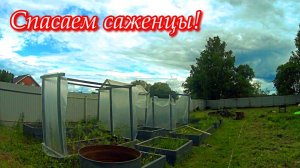 Простая жизнь в деревне. Влог. У кота живая игрушка. Планы на беседку.
