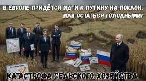 Полное видео по ссылке в описании. Огромная просьба подписаться