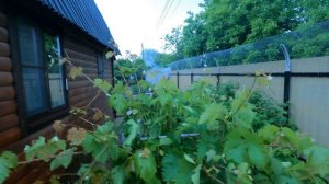 Матушка земля похоже сильно разозлилась на нас