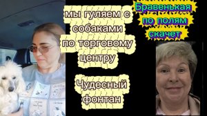 Гуляем с собаками в торговом центре. А хотелось в бассейн