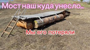 Тепла нет, дождь) Колеусы пересадила)