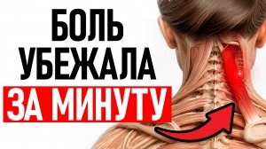 ОДНА мышца тянет всё! / Почему шея, плечо и лопатка БОЛЯТ одновременно
