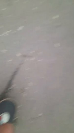 катаюсь на смейте