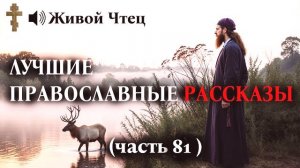 ОНА 25 ЛЕТ ПРОКЛИНАЛА СЕСТРУ-ВОРОВКУ... ЛУЧШИЕ ПРАВОСЛАВНЫЕ РАССКАЗЫ часть 81