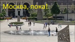 Так сильно хотелось спать, но не уснула...Ну, Михалыч и зарос...
