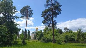 Мирное небо и зелёная травка