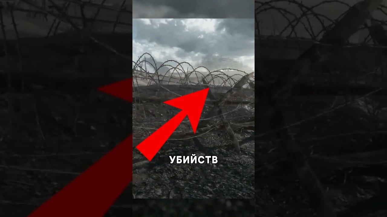 Почему солдаты боялись колючей проволоки? смотреть онлайн