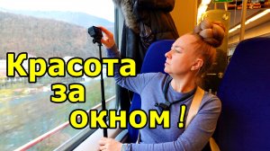 «ЛЕТИМ» НА «ЛАСТОЧКЕ» В АДЛЕР! ПРОЕХАЛИ ЭСТО-САДОК. ОТПУСК. НОЯБРЬ 2025.