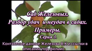 Сад Железовых. Разбор удач  и неудач в садах. Примеры. Серия 3.
