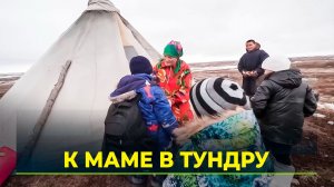 Тысячи школьников возвращаются в тундру на каникулы