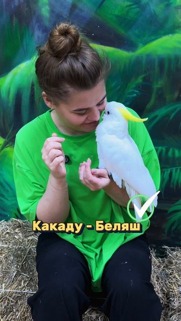 Угадаешь всех?😄