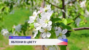 Свыше 60 млн рублей выделят на развитие промышленного садоводства в Нижегородской области в 2026-м