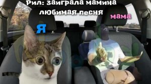 Рил: заиграла мамина любимая песня
