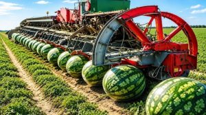 20 минут невероятных производств, инженерных решений и работников.