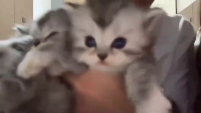 Самый красивый букет, что вы видели за сегодня