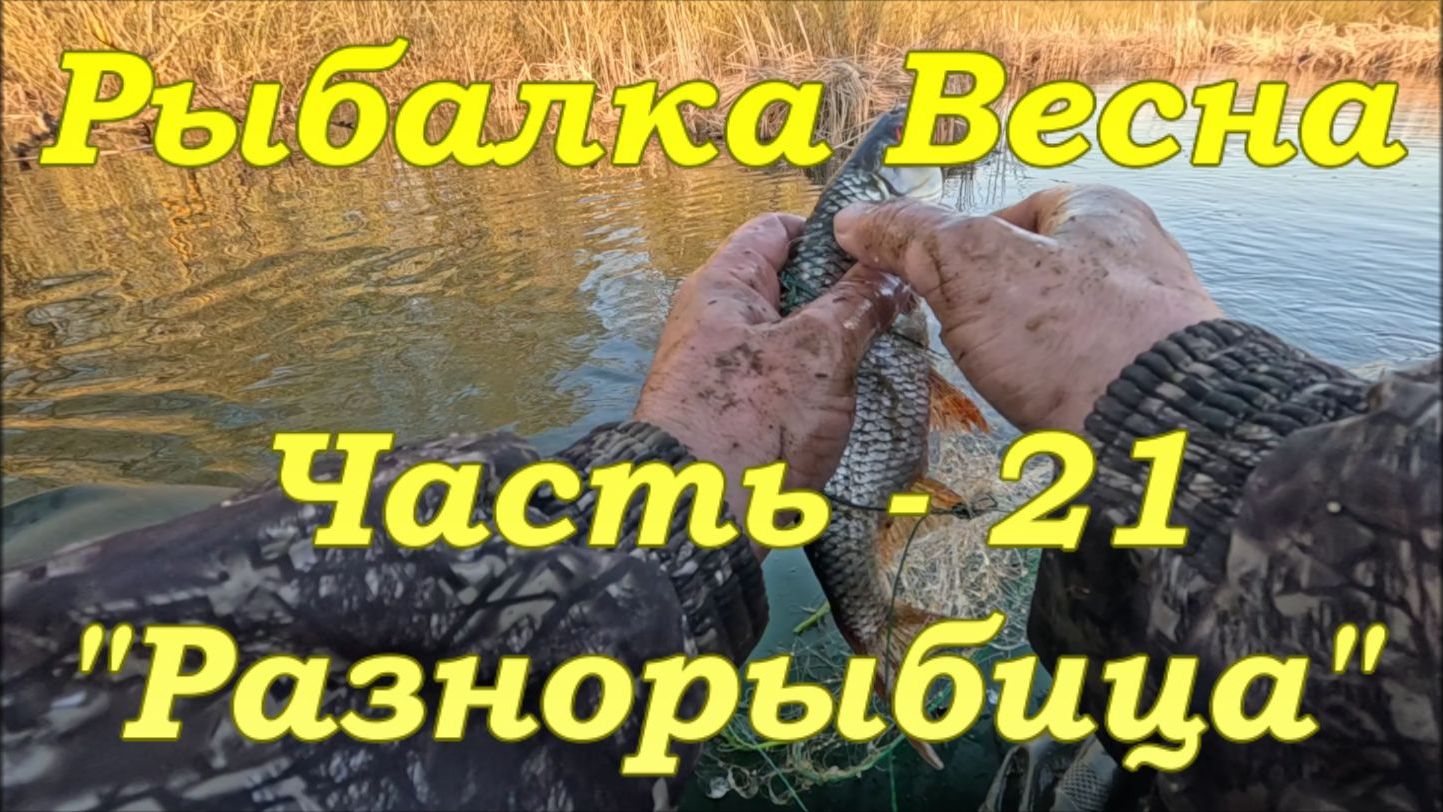 Рыбалка. Весна. Часть - 21. "Разнорыбица". смотреть онлайн