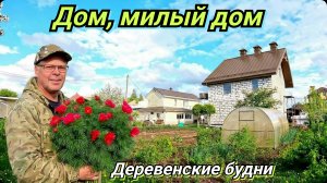 Строю дом третий год. Теперь дождь не страшен. Крыша готова. Деревенские будни.
