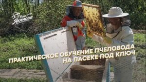 Практическое обучение пчеловода на Пасеке под ключ