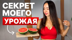 АРБУЗ В КВАРТИРЕ? | Секрет МОЩНОЙ рассады