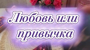 Любовь или привычка 💐🍓🔮Таро
