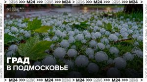 Подмосковье накрыл град размером с горох - Москва 24