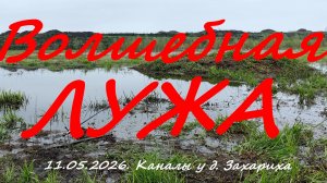 Волшебная лужа. 11.05.2026. Каналы у д. Захариха. Рыбалка в Московской области.
