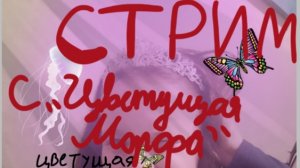 Стрим!!! С Цветущая Морфа РУТУБ