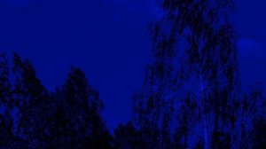 Грустная мелодия без слов. Грустная мелодия из Тик Тока