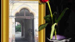 Чернівецькі   дворики