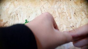 Как связать поставушку на сазана.