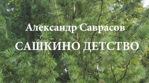 Сашкино детство - Александр Саврасов