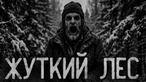 Жуткий лес. Страшные истории на ночь. Мистика. Страшилки на ночь.