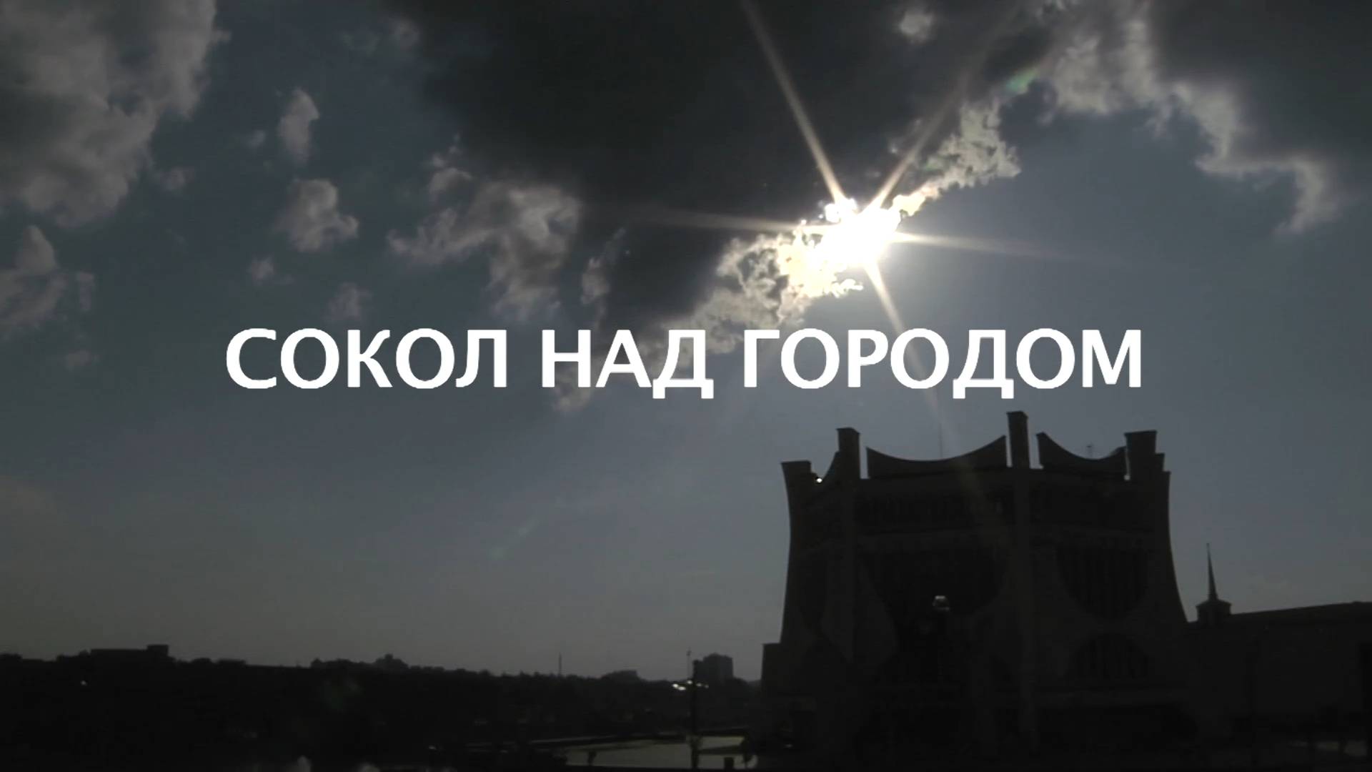 Сокол над городом (2012)
