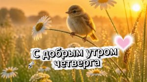Открытка с добрым утром четверга – красивое музыкальное поздравление с пожеланиями