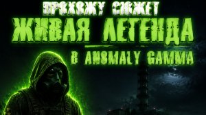 Прохожу сюжет в anomaly GAMMA живая легенда||100 дней в anomaly gamma