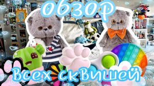 ОБЗОР 😄 У нас ПОРВАЛСЯ СКВИШ 😱 басики в шоке 🤯 басики влог