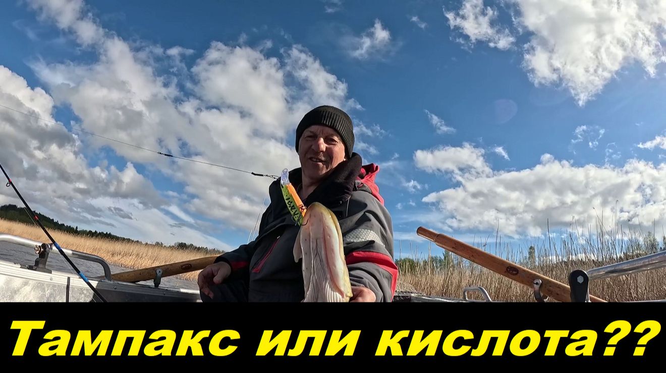 Тампакс это вам не сникерс. смотреть онлайн