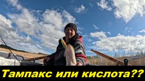Тампакс это вам не сникерс.