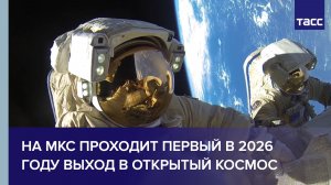 Выход в открытый космос космонавтов Сергея Кудь-Сверчкова и Сергея Микаева