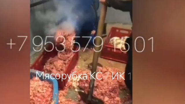 Мясорубка, агрегат дробления отходов мяса, рыбы, пищевых производств КС 7 ИК 1