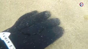 Спасатели очистили морское дно у лагеря «Ласпи»